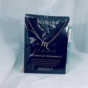 Scorpio Constellation Zodiac Astrology Sun Sign Spiritual Necklace